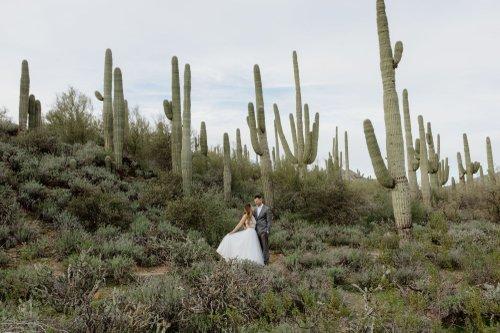 mobile - carousel-hero-element image-6