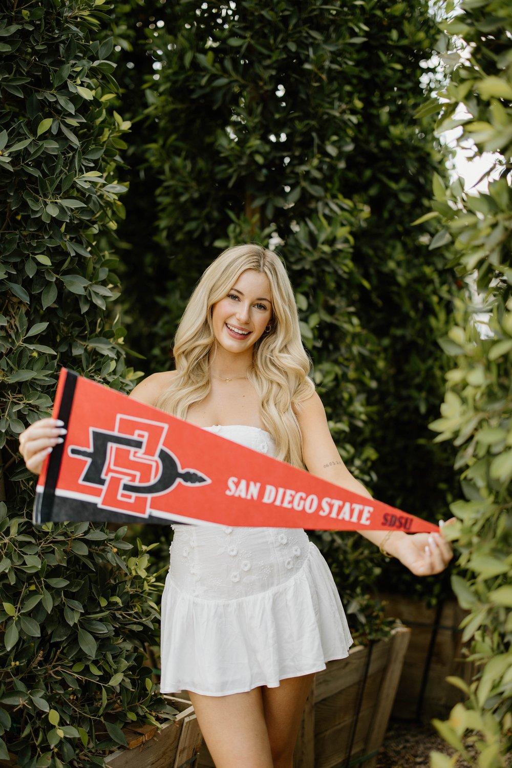 carousel-hero-element image-6