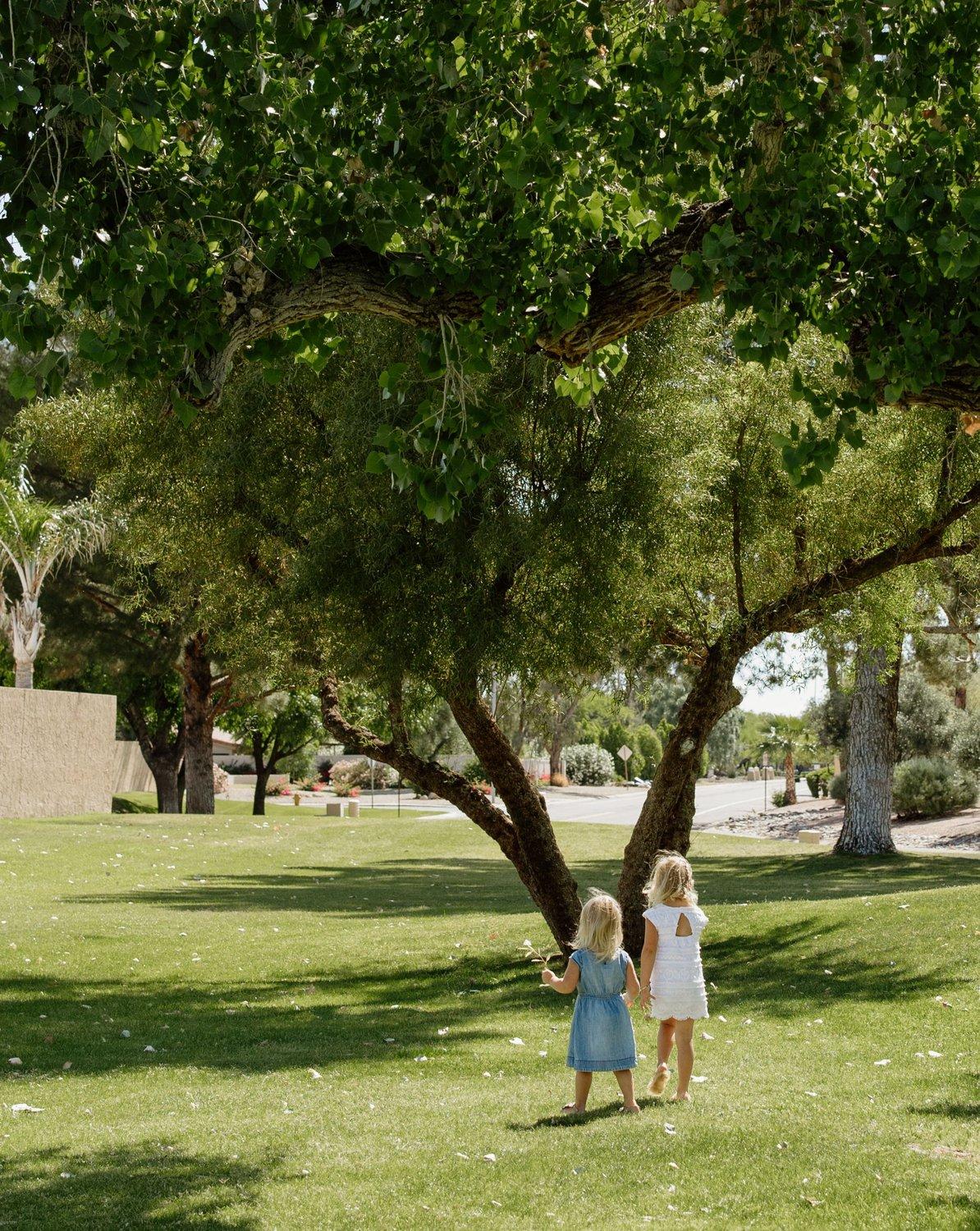 carousel-hero-element image-3